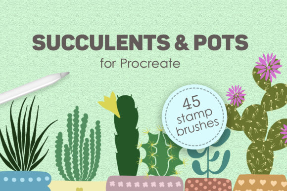 Elevating Digital Botanical Art with Succulents and Pots Stamp Brushes
