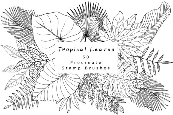 Evaluating Procreate Stamp Brushes 