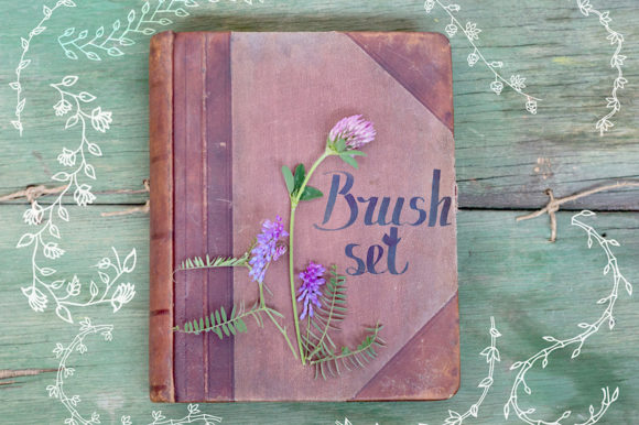 Evaluating the Set of Brushes for Adobe Illustrator and Pattern Collections